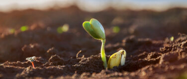 Helping Agriculture Build the Biobased Frontier